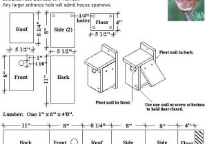 Bird House Plans for Wrens Wren Bird House Plans Woodwork