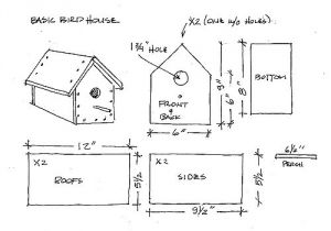Bird House Plans for Wrens Wren House Plans Bird House Plans