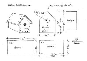 Bird House Plans Free Birdhouse Plans for Kids Find House Plans