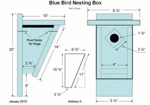 Bluebird House Plans Patterns Eastern Bluebird House Plans Bluebird Nest Box Plans