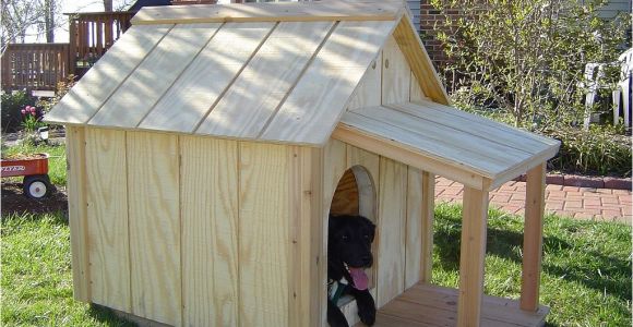 Building Plans for A Dog House Insulated Dog House Woodbin