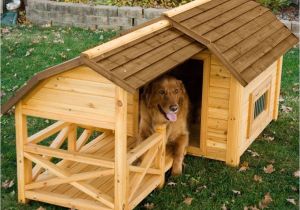 Building Plans for A Dog House Pallet Dog House Building Tips