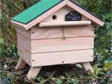 Bumble Bee House Plans 11 Best Bumblebee Hive Images On Pinterest Bee House