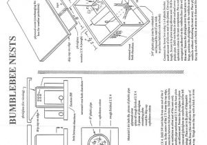 Bumble Bee House Plans Bumble Bee Bombus Nest Box Plan Nature Hymenopteres