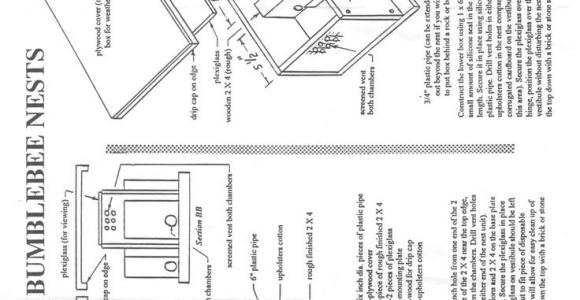 Bumble Bee House Plans Bumble Bee Bombus Nest Box Plan Nature Hymenopteres