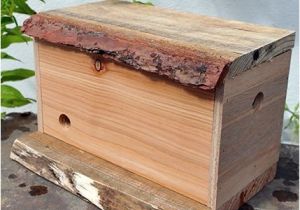 Bumble Bee House Plans Bumble Bee Nest Box Yard Pinterest Gardens Bee