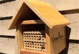 Bumble Bee House Plans Mason Bee House Plans Luxury Free Mason Bee House Plans