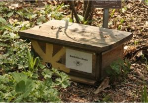 Bumble Bee House Plans Save the Bumble Bees Bumble Bee Nesting Box at Garden