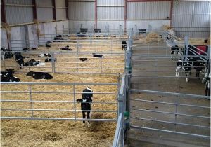 Calf Housing Plans Calf Housing Plans Escortsea Calf Housing Plans Calf Housing Plans Escortsea