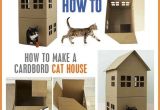 Cardboard Cat House Plans Cardboard Cat House Diy House Best Design