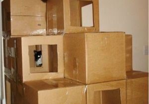 Cardboard Cat House Plans Cat House I Want to Build This tomorrow Obsessed with