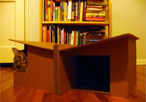 Cardboard Cat House Plans Pdf Diy Cardboard Cat House Plans Download Canoe Bookcase
