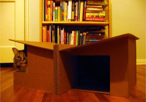 Cardboard Cat House Plans Pdf Diy Cardboard Cat House Plans Download Canoe Bookcase Cardboard Cat House Plans Pdf Diy Cardboard Cat House Plans Download Canoe Bookcase