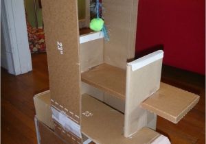 Cardboard Cat House Plans Pdf Diy Cardboard Cat House Plans Download Canoe Bookcase