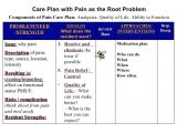 Care Plan for Elderly at Home Care Plan for Family Interdisciplinary Template Definition