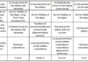 Care Plan for Elderly In Care Home Care Plan for Elderly at Home Home Design and Style