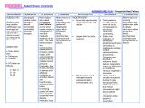 Care Plan for Elderly In Care Home Diabetes Care Plan for Elderly Diet Plan
