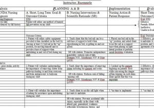 Care Plan for Home Care Beautiful Nursing Home Care Plans 3 Home Nursing Care