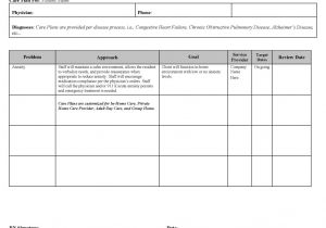 Care Plan for Home Care Care Plan Concierge Services Nurse Consultant Coach