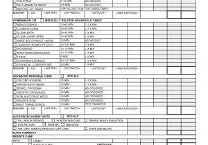 Care Plan for Home Care High Resolution Nursing Home Care Plans 10 Home Care Plan