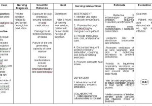 Care Plan for Home Care Strict Adherence to Patient Care Plans Necessary for Safe