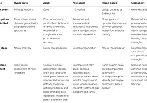 Care Plan for Stroke Patient at Home Frontiers A Comprehensive Neurorehabilitation Program Care Plan for Stroke Patient at Home Frontiers A Comprehensive Neurorehabilitation Program