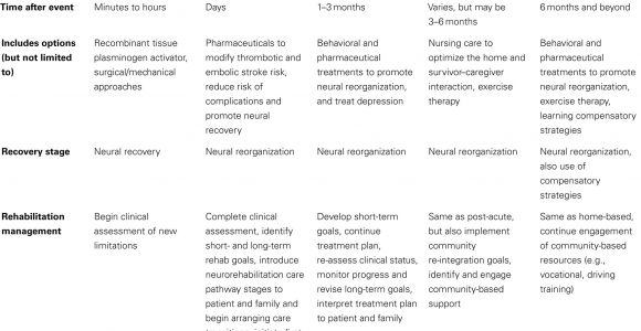 Care Plan for Stroke Patient at Home Frontiers A Comprehensive Neurorehabilitation Program
