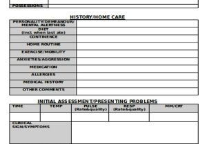 Care Plan Template for Residential Home 9 Nursing Care Plan Templates Free Sample Example