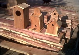 Cedar Bird House Plans Bird House Plans Cedar How to Making Woodwork Pdf Download