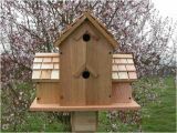Cedar Bird House Plans Cedar Birdhouse with 6 Compartments Round Holes
