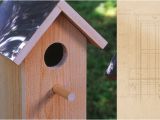 Cedar Bird House Plans Diy Cedar Birdhouse Plans How to Build A Cedar Birdhouse