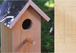 Cedar Bird House Plans Diy Cedar Birdhouse Plans How to Build A Cedar Birdhouse