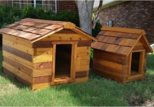 Cedar Dog House Plans 12 Wonderfully Unusual Dog Houses