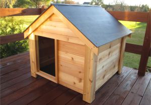 Cedar Dog House Plans the Ultimate Dog House