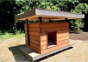 Cedar Dog House Plans Wooden Pallet Dog House Plans Pallet Wood Projects