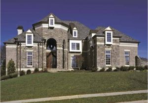 Chateau Style Home Plans French Chateau House Plans Mytechref Com