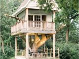 Cheap Tree House Plans Best 25 Simple Tree House Ideas On Pinterest Diy Tree
