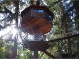 Cheap Tree House Plans Home Design Simple Treehouse Plans Best Of How to Build A