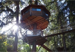 Cheap Tree House Plans Home Design Simple Treehouse Plans Best Of How to Build A