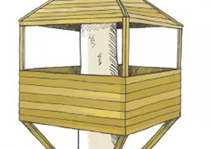 Cheap Tree House Plans How to Build A Treehouse the Independent