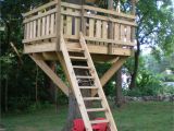 Cheap Tree House Plans Tree fort Ladder Gate Roof Finale Village Custom