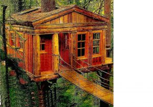 Cheap Tree House Plans Trend Decoration Western Plus Tree House El for Best Hotel