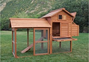 Chicken House Plans for 1000 Chickens 1000 Images About Chicken Coops On Pinterest Raising