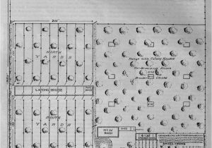 Chicken House Plans for 1000 Chickens Plan for A 10 Acre 1 000 Hens Poultry Farm the Poultry