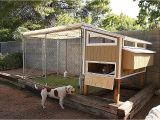 Chicken House Plans for 20 Chickens House Plans Chicken House Plans for 20 Chickens Awesome