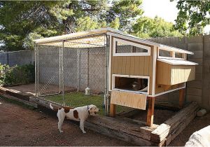 Chicken House Plans for 20 Chickens House Plans Chicken House Plans for 20 Chickens Awesome Chicken House Plans for 20 Chickens House Plans Chicken House Plans for 20 Chickens Awesome