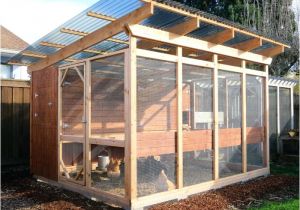 Chicken House Plans for 20 Chickens Inspiring Chicken House Plans for 20 Chickens Pictures Chicken House Plans for 20 Chickens Inspiring Chicken House Plans for 20 Chickens Pictures