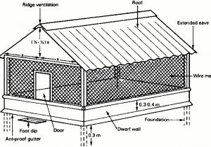 Chicken House Plans for 50 Chickens Appealing Chicken House Plans for 50 Chickens Contemporary
