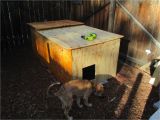 Cold Weather Dog House Plans Ancient Pathways Survival School Llc Diy Dog House Plans