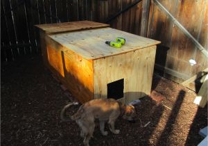 Cold Weather Dog House Plans Ancient Pathways Survival School Llc Diy Dog House Plans
